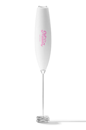 Le Fouet Électrique