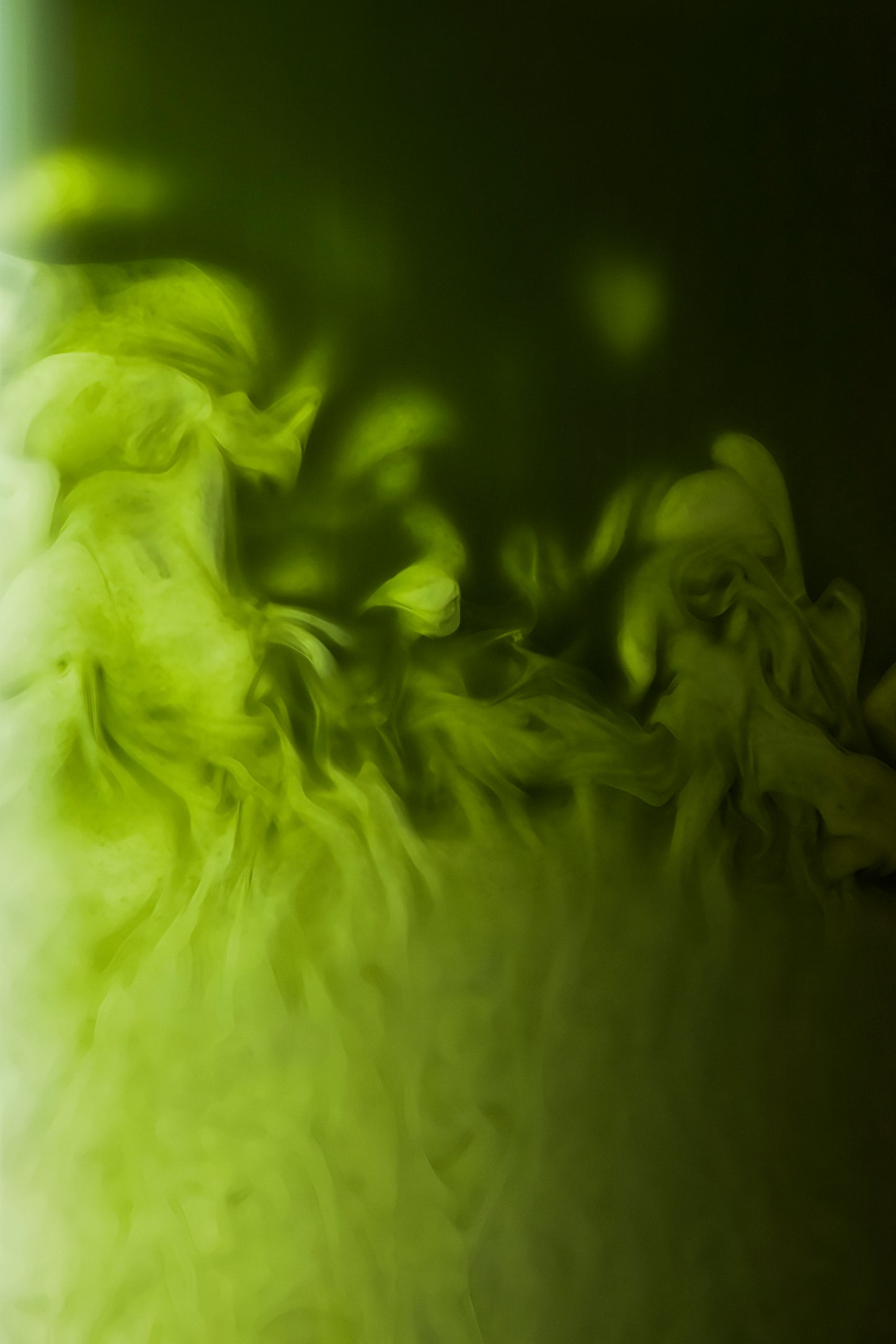 Matcha Cérémonie Vanille 30g