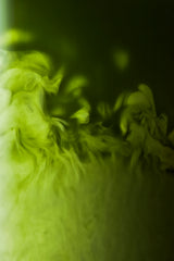 Matcha Cérémonie Vanille 30g