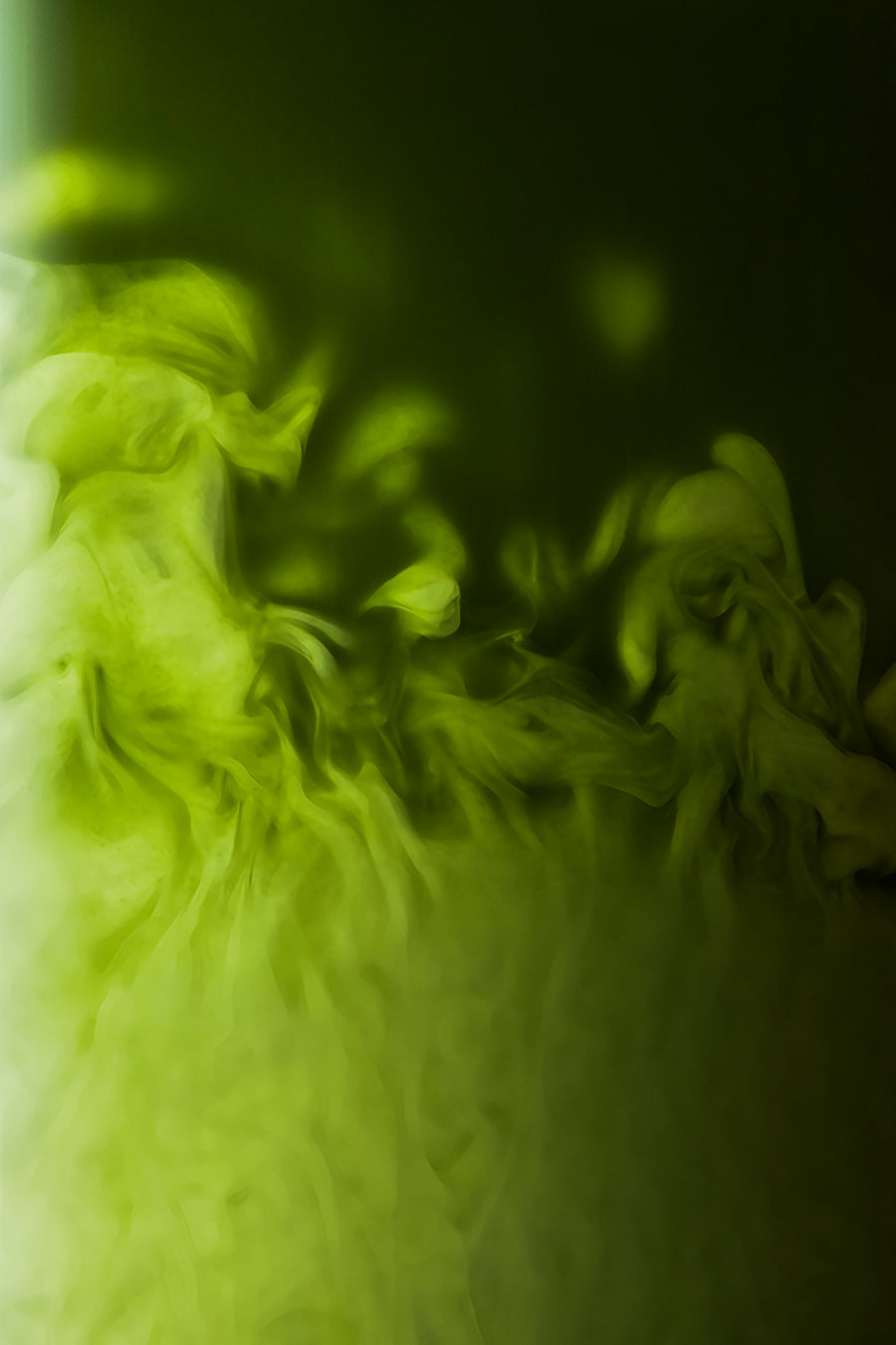 Matcha Cérémonie Vanille 30g